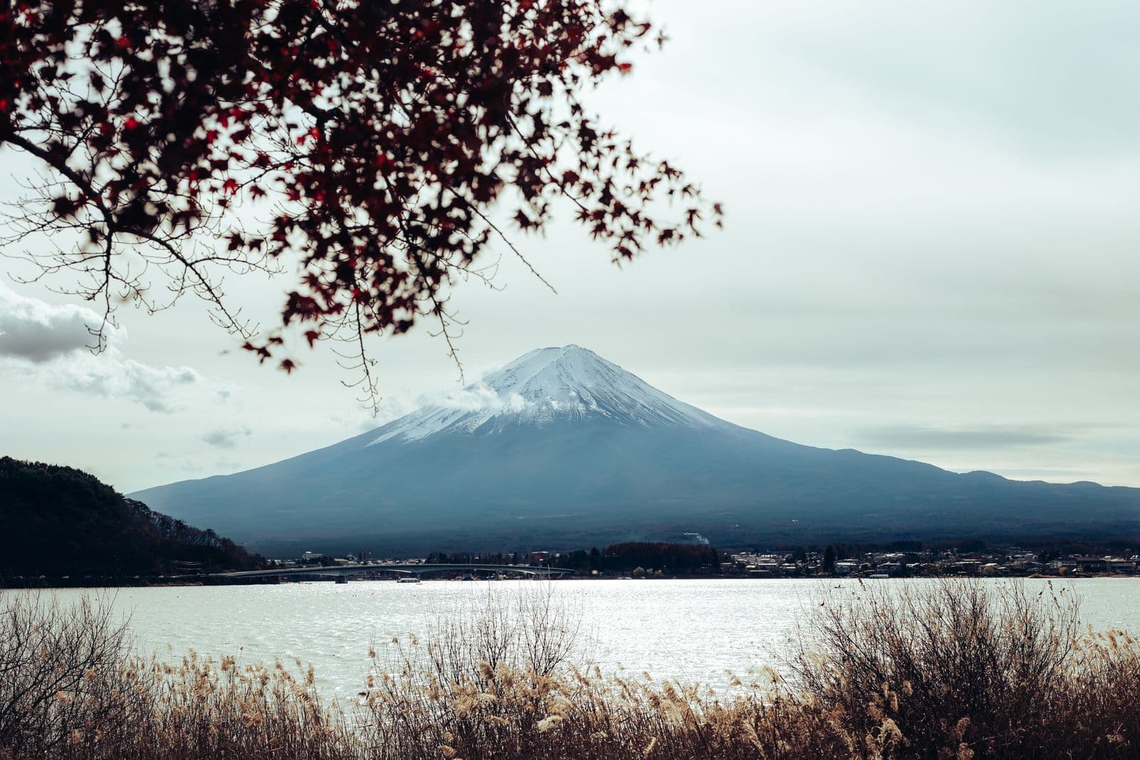 Japan tour packages